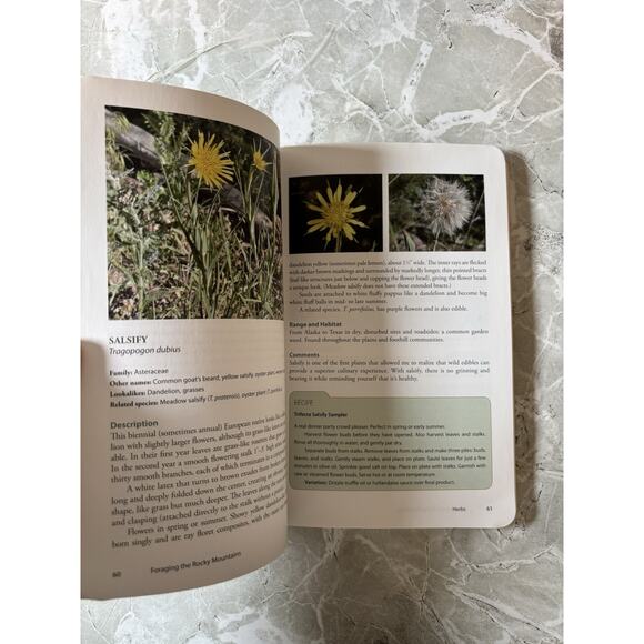 Foraging the Rocky Mountains : Finding, Identifying, and Prep Liz Brown Morgan - Picture 4 of 6